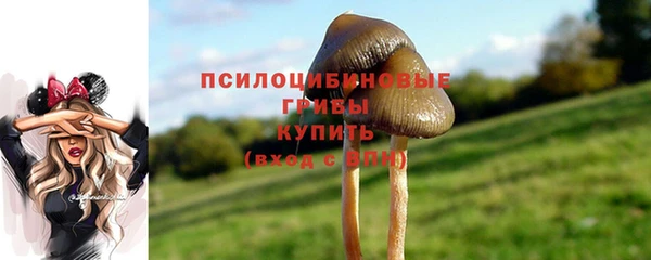 дмт Абдулино