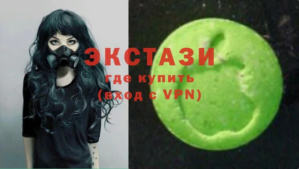 индика Осташков
