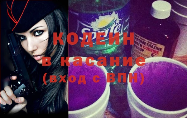 индика Осташков