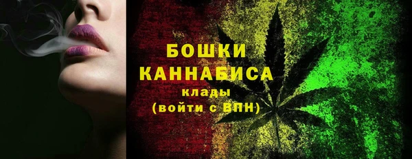 шишки Осинники