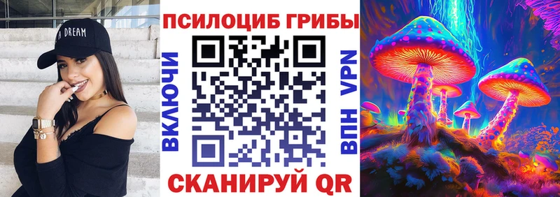 Псилоцибиновые грибы Psilocybine cubensis  Алупка 